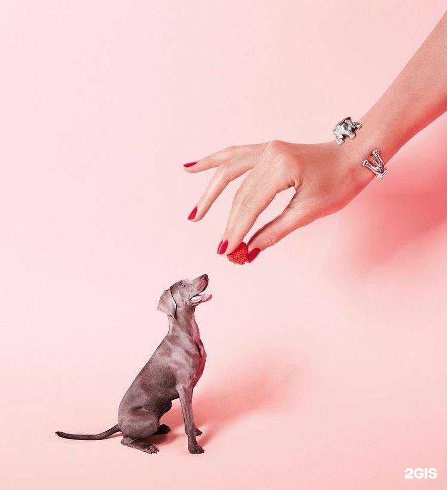 Отзывы на компанию Столви в Апрелевке c фото