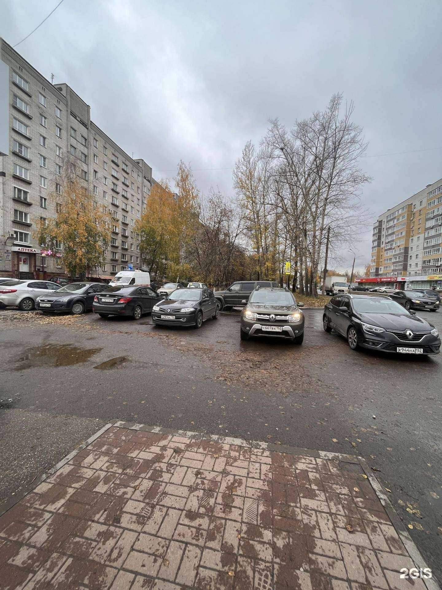 Отзывы на компанию Максавит в г. Нижний Новгород c фото