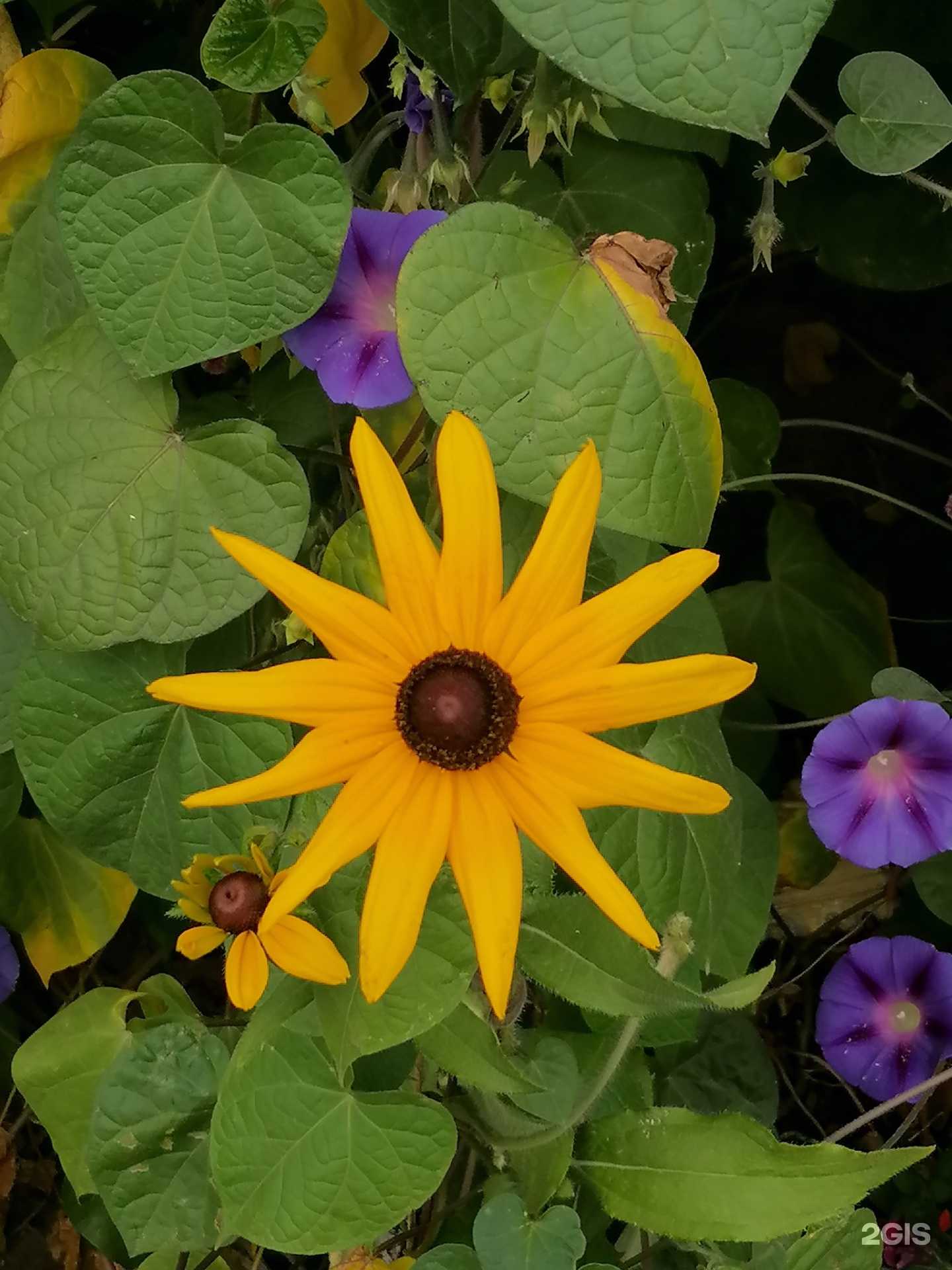 Отзывы на компанию Стоматолог и Я в Улан-Удэ c фото