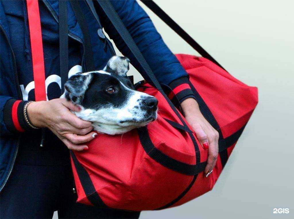 Отзывы на компанию Симуран в Ангарске c фото