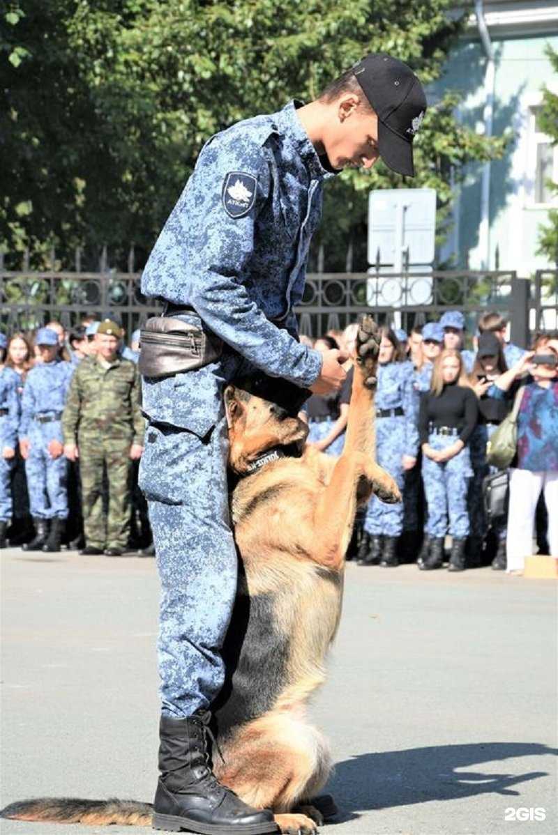 Отзывы на компанию Алтайский техникум кинологии и предпринимательства в Барнауле c фото