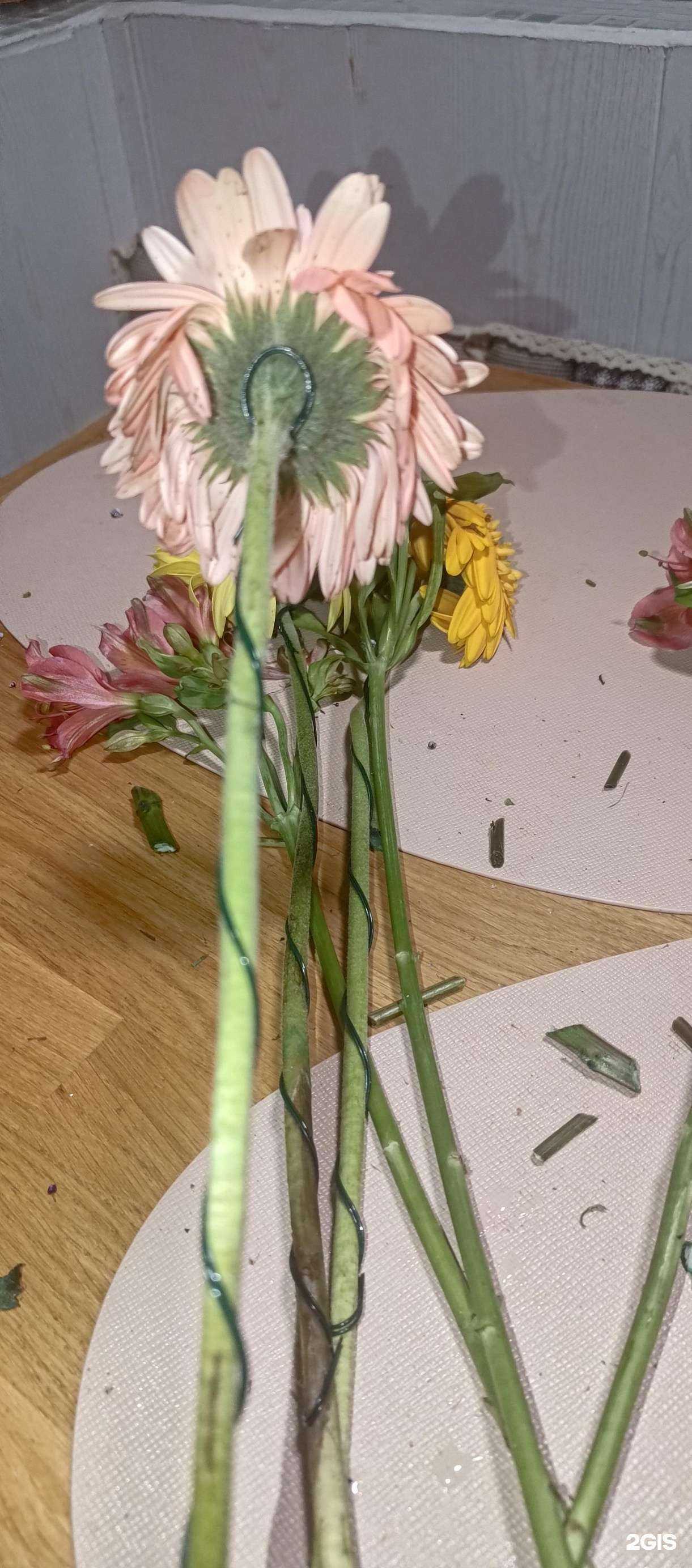 Отзывы на компанию Цветок в Вологде c фото