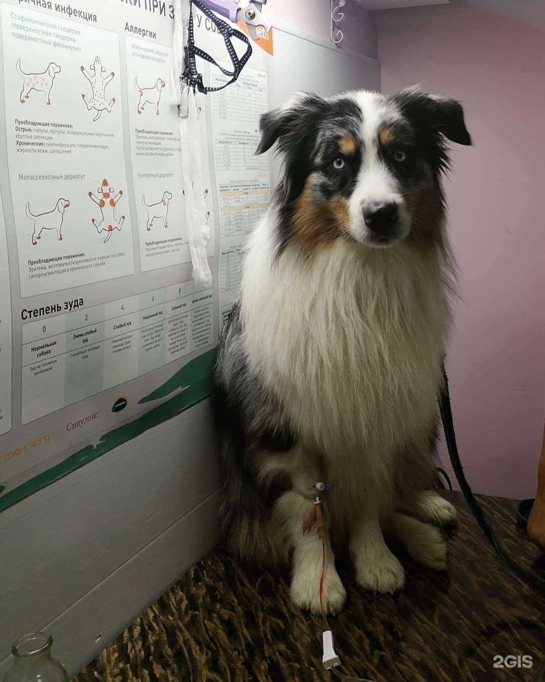 Отзывы на компанию Синяя птица в Новороссийске c фото