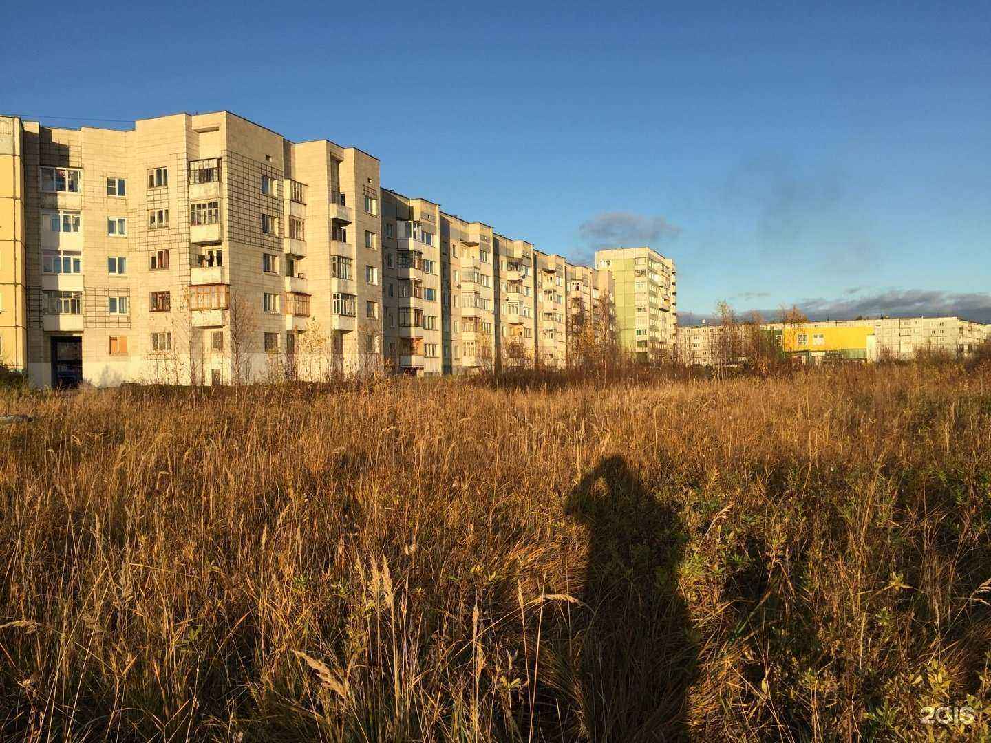 Отзывы на компанию Natalia nail в г. Северодвинск c фото