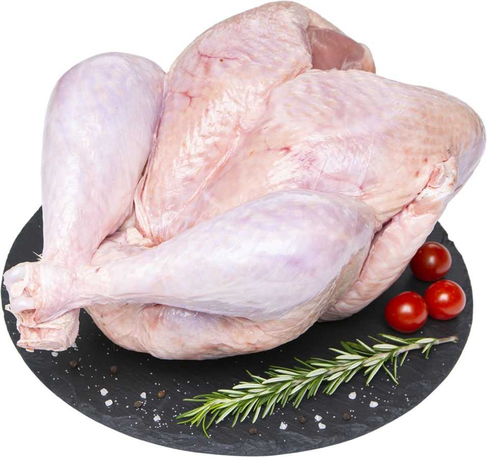 Отзывы на компанию Империя в г. Пятигорск c фото