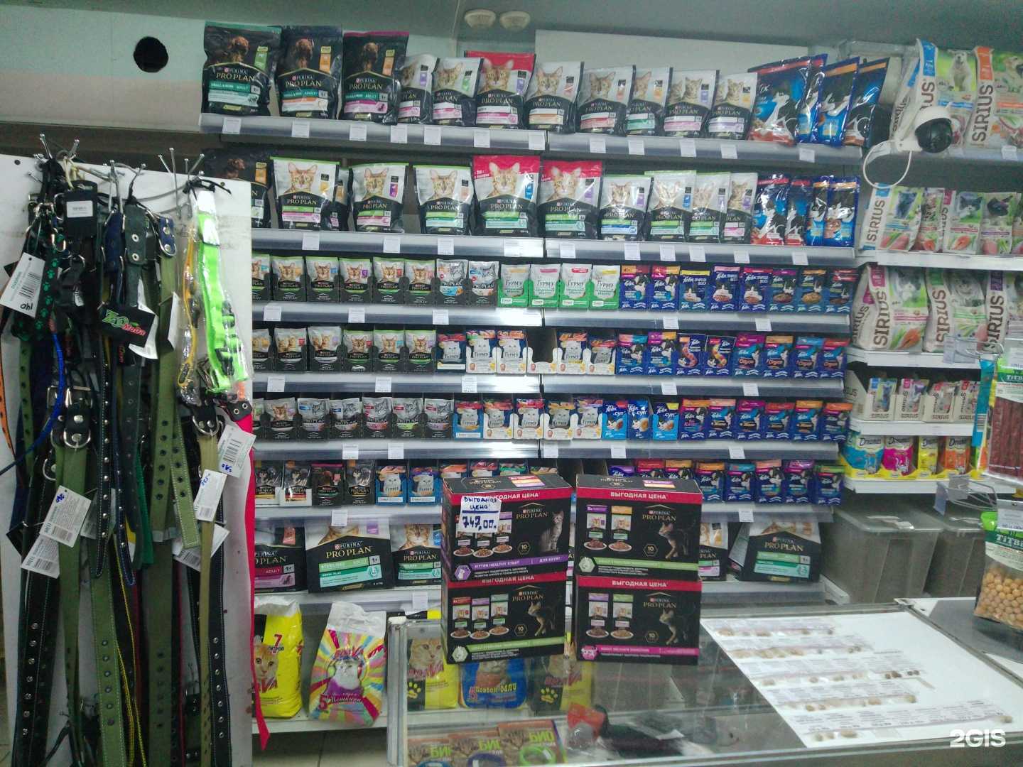 Отзывы на компанию Зоомагазин в Омске c фото