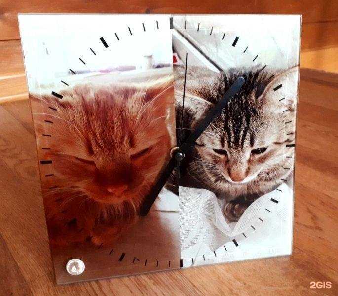 Отзывы на компанию Foto-55 в г. Омск c фото