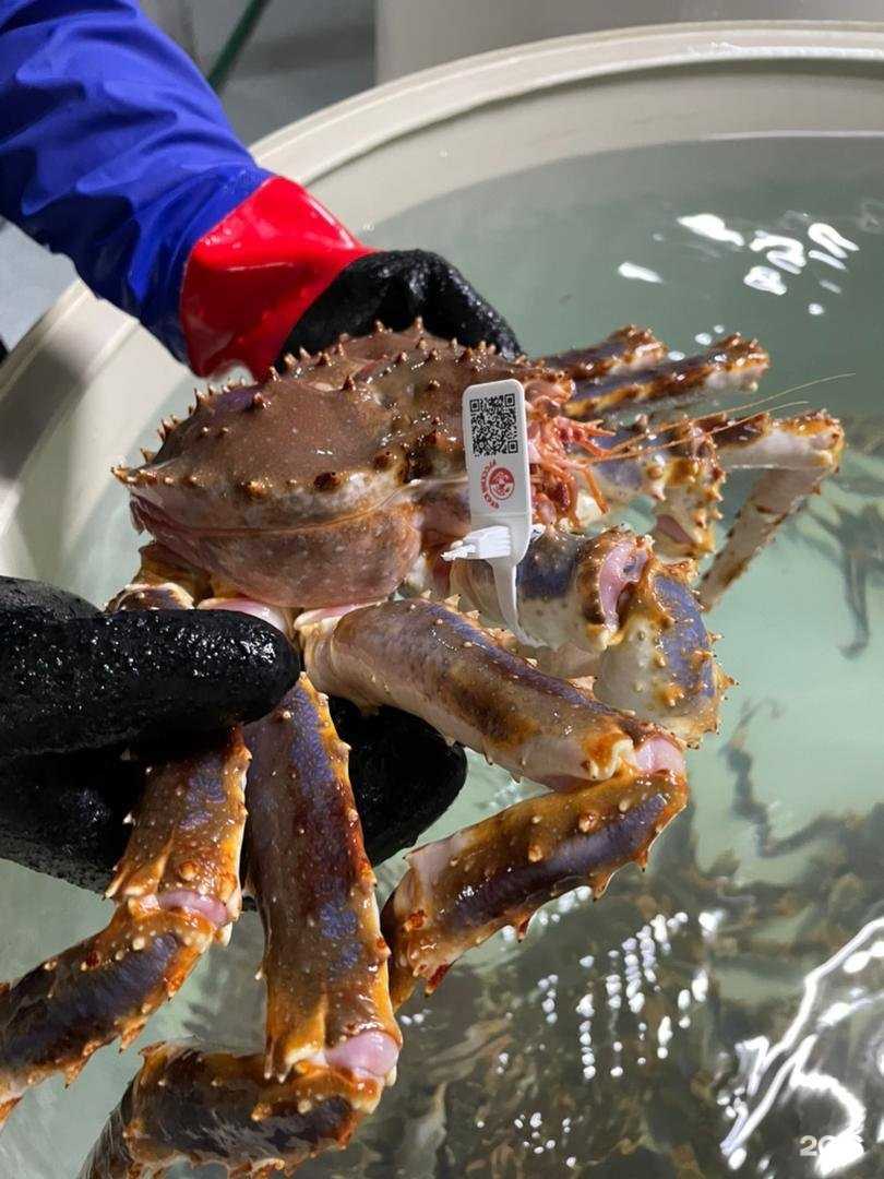 Отзывы на компанию РыбХозМаг в г. Владивосток c фото