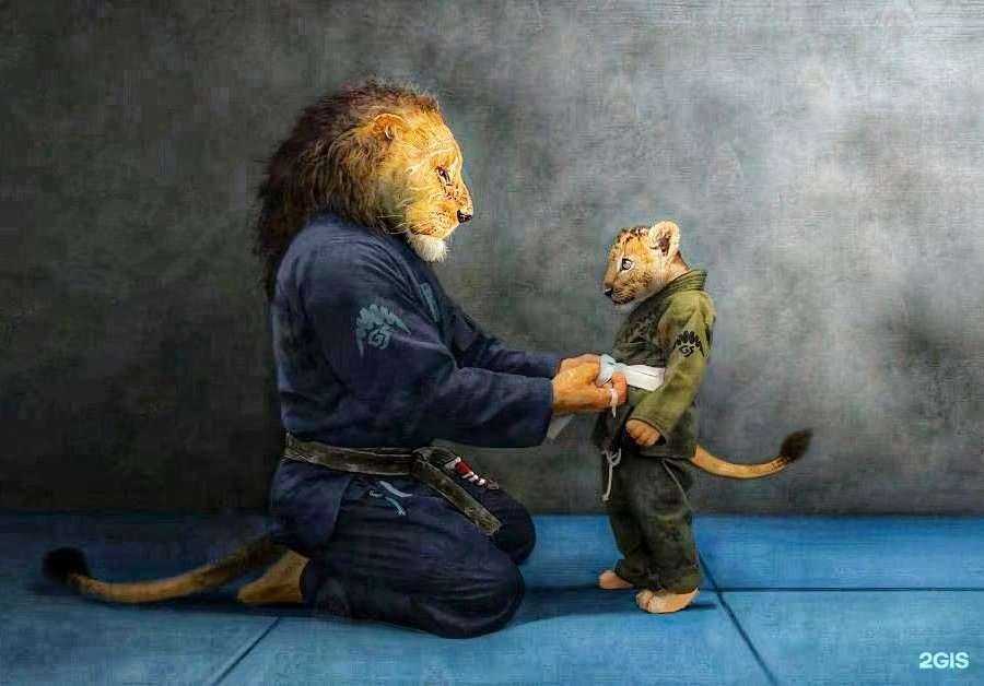 Отзывы на компанию Путь дракона в Чите c фото