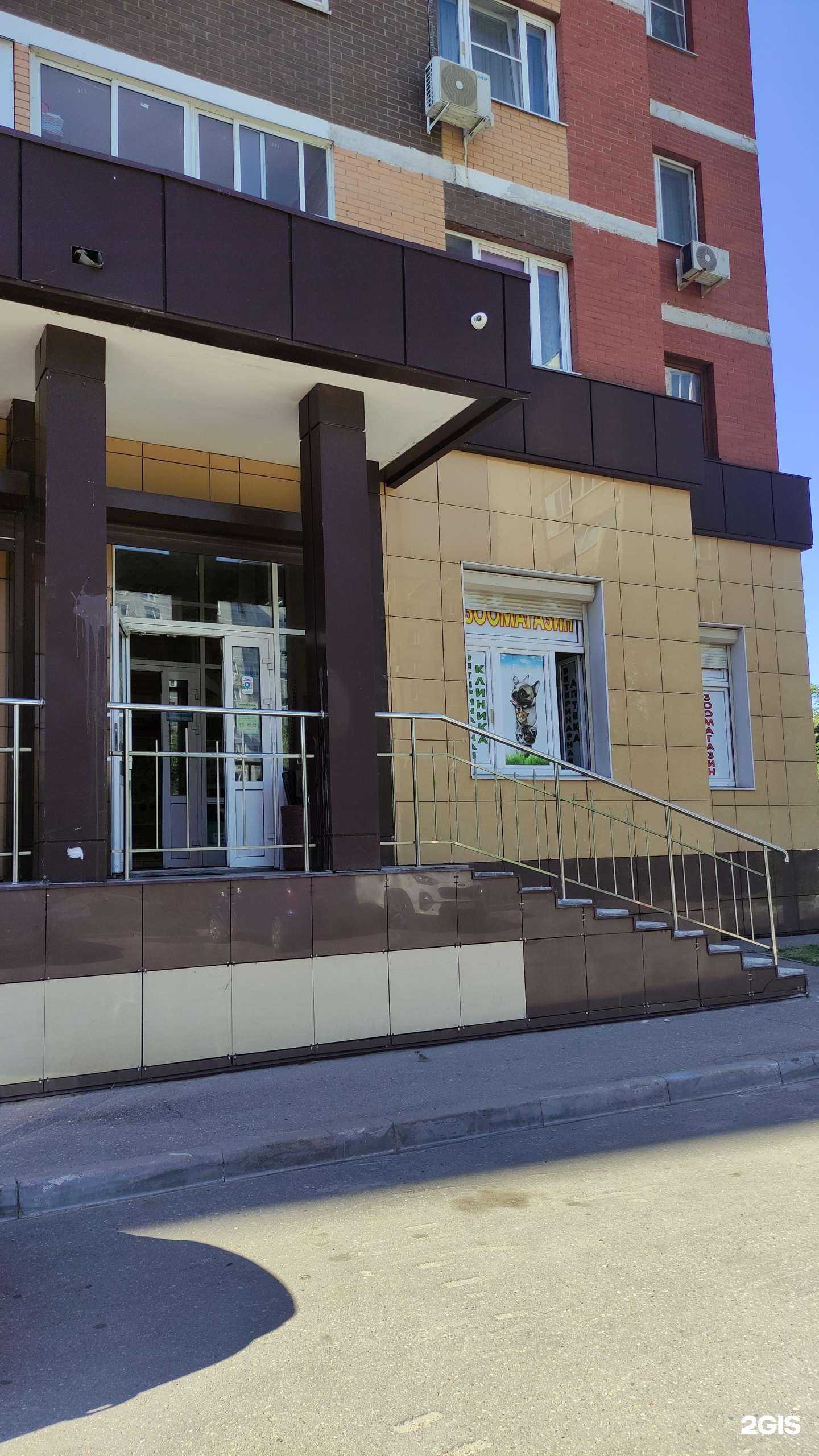 Отзывы на компанию Pro.хвост в г. Лосино-Петровский c фото