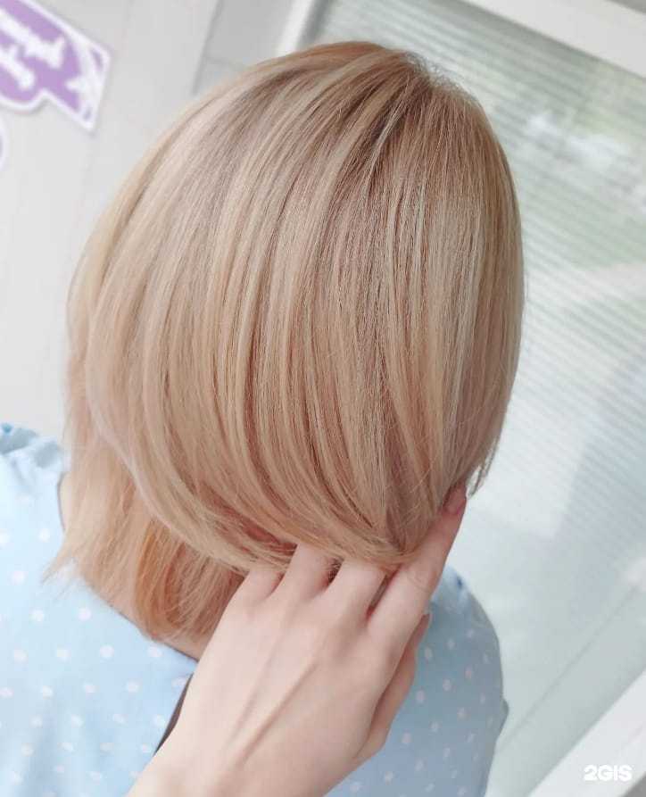 Отзывы на компанию Клевер в Омске c фото