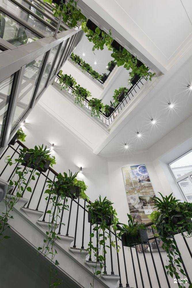 Отзывы на компанию Пепеляев Групп в Владивостоке c фото