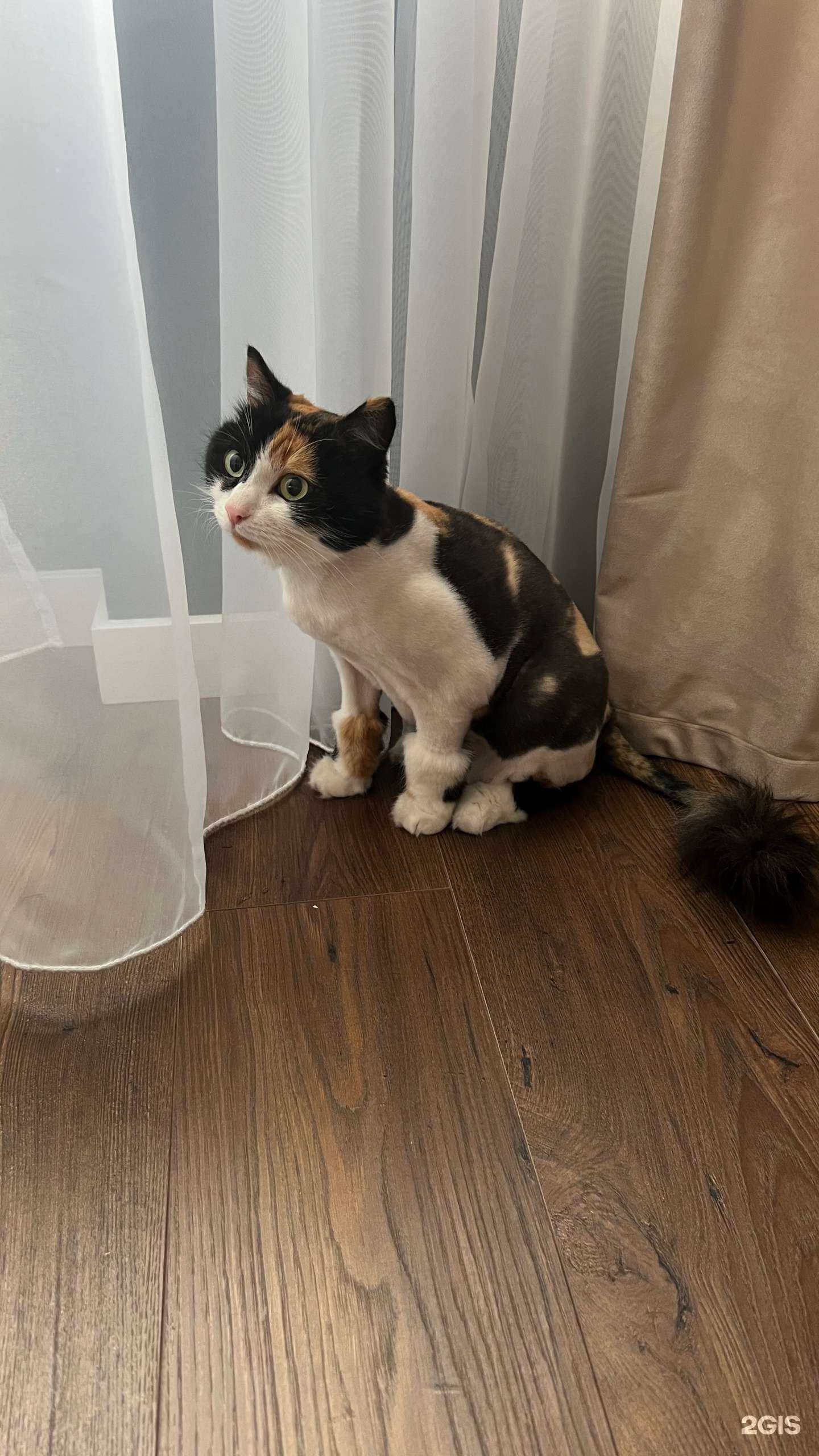 Отзывы на компанию Вита в Омске c фото