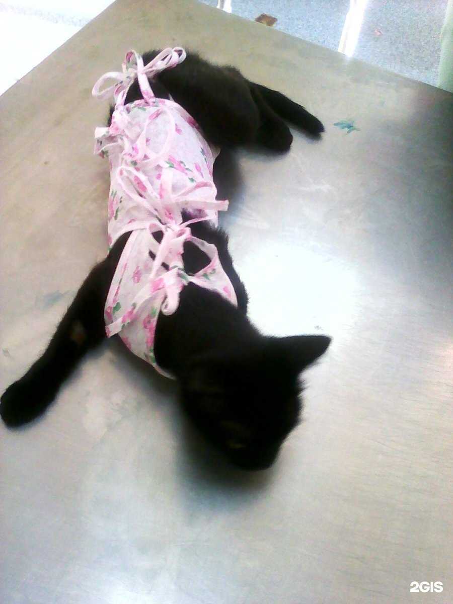 Отзывы на компанию ВетСоюз в г. Новосибирск c фото