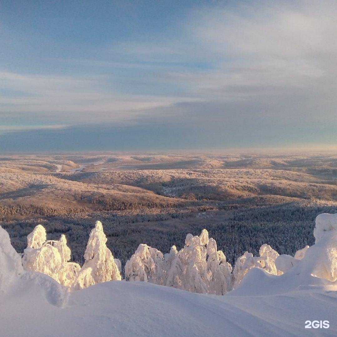 Отзывы на компанию Объединенная металлургическая компания в Уфе c фото