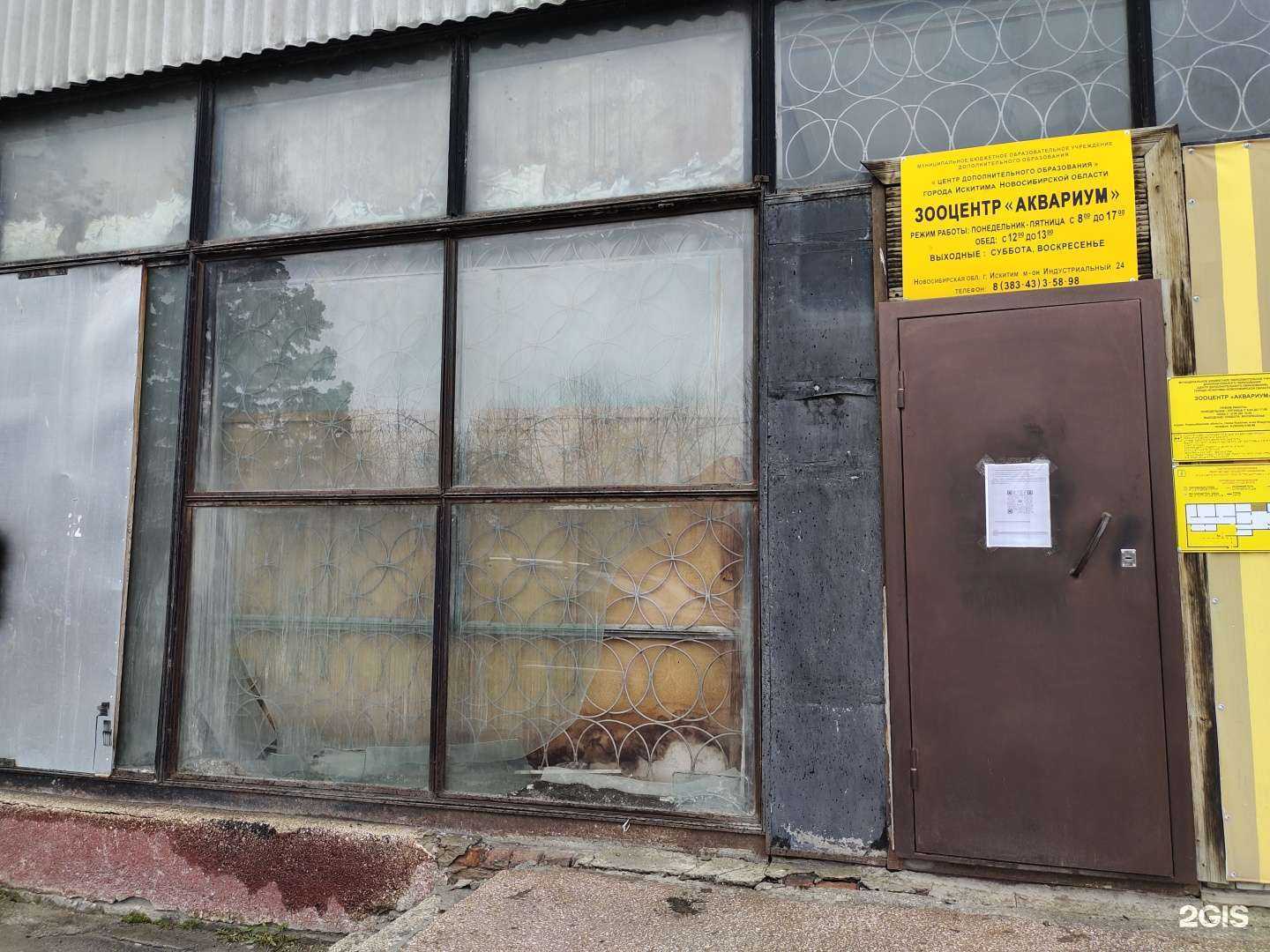 Отзывы на компанию Аквариум в Искитиме c фото