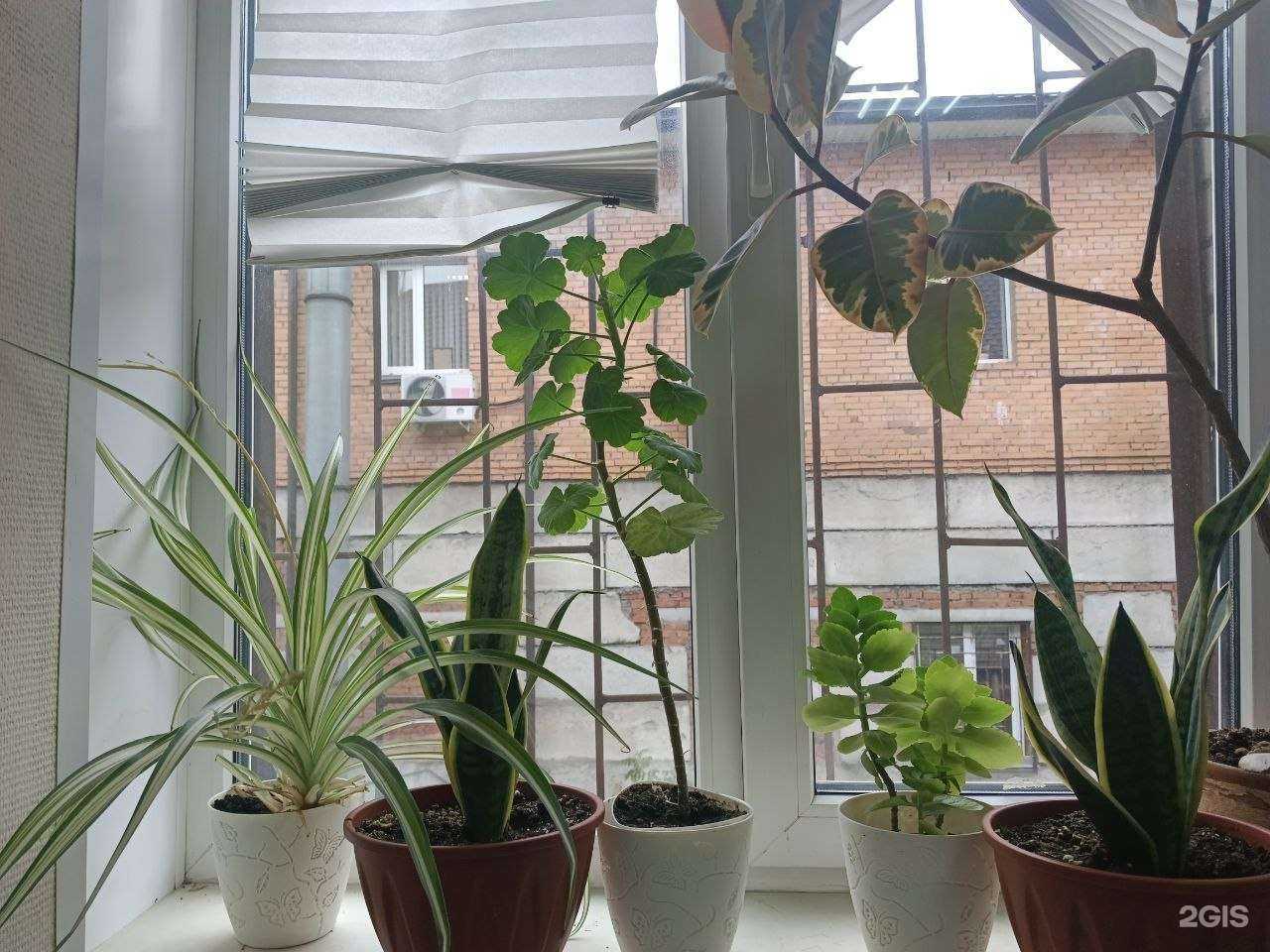 Отзывы на компанию Независимые исследования и судебная экспертиза в Балашихе c фото