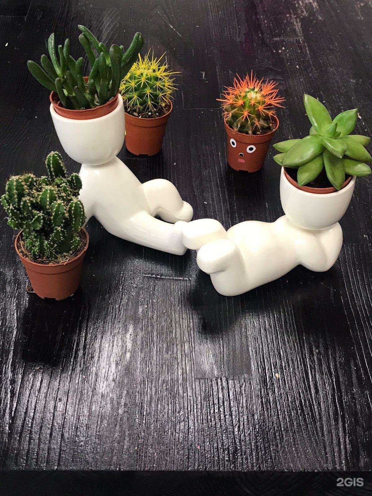 Отзывы на компанию Цветбери в Кирове c фото