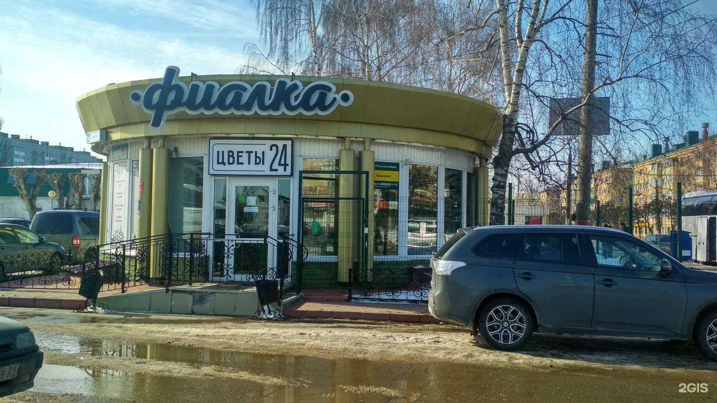 Отзывы на компанию Фиалка в Чебоксарах c фото - фотография 2 из 2