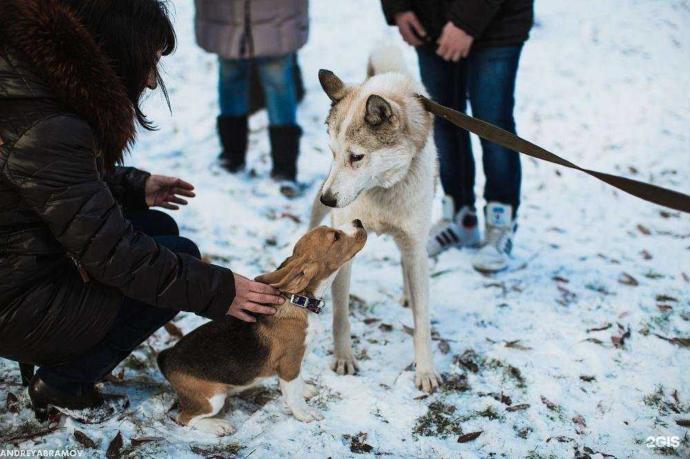 Отзывы на компанию Бим в Челябинске c фото
