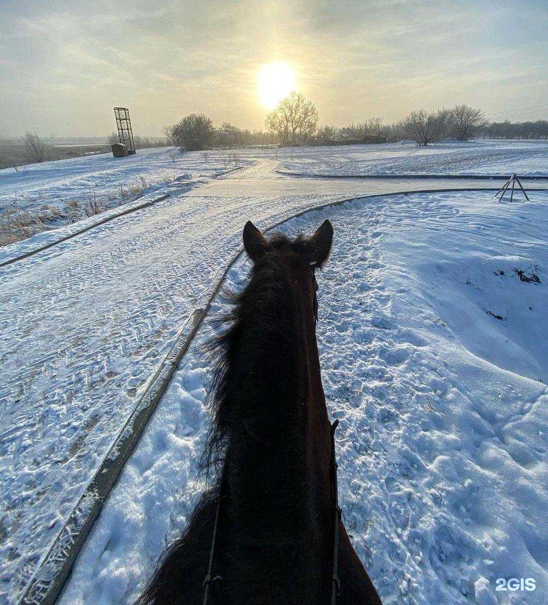 Отзывы на компанию Радовесть в г. Омск c фото