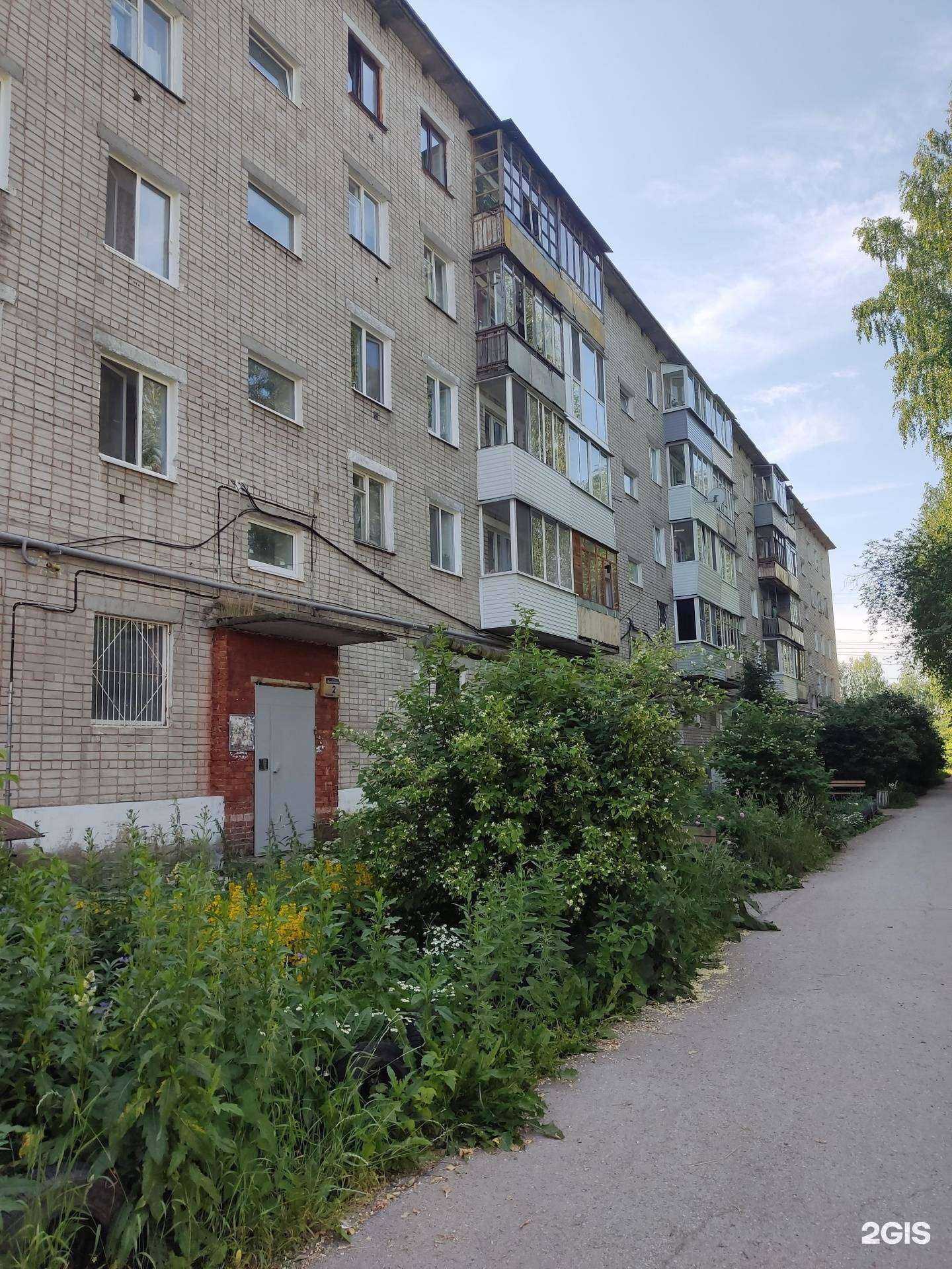 Отзывы на компанию Хвостики в Перми c фото - фотография 2 из 2