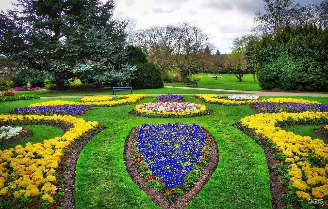 Отзывы на компанию Gazonm в Воронеже c фото