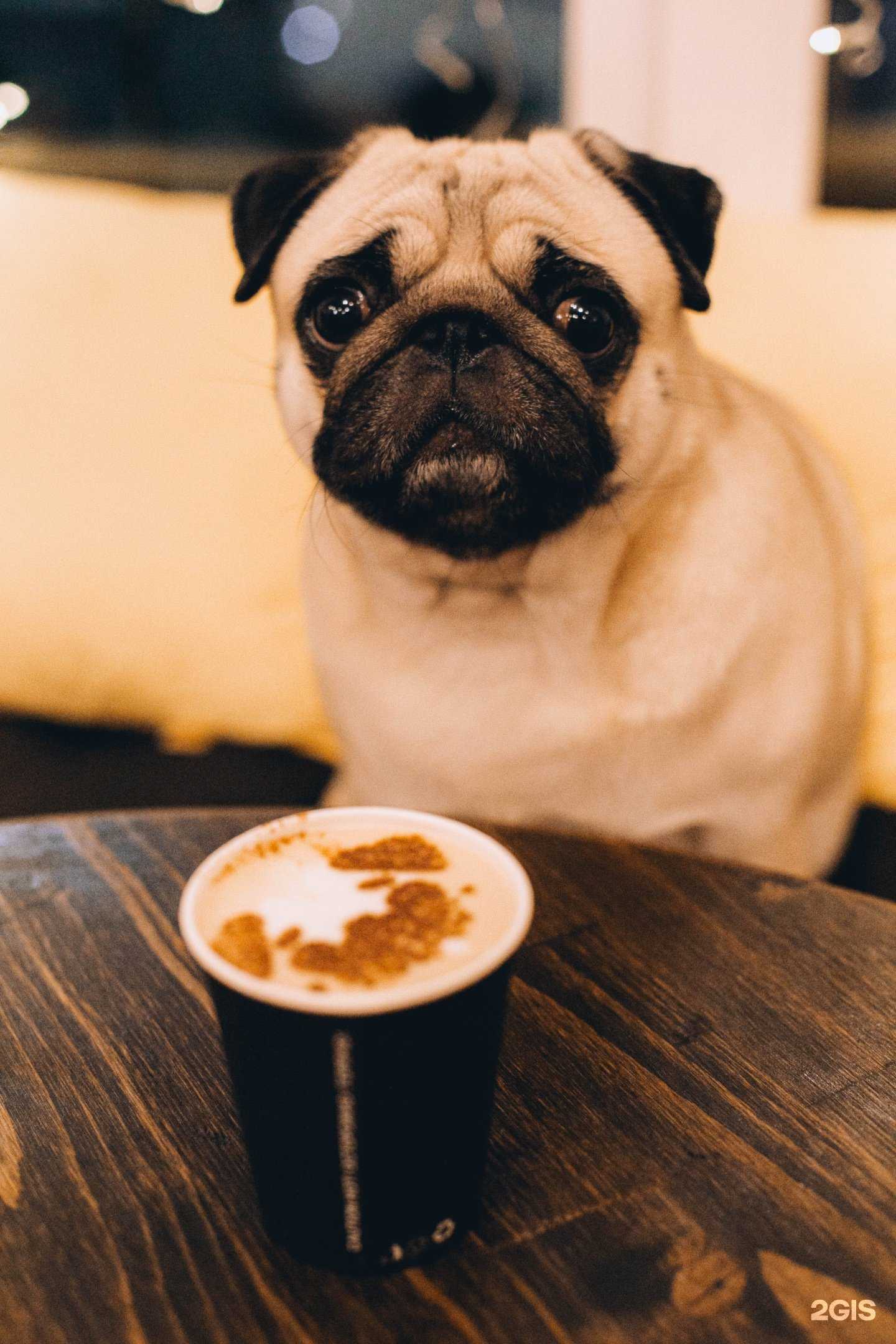 Отзывы на компанию Happy Bun в г. Сальск c фото