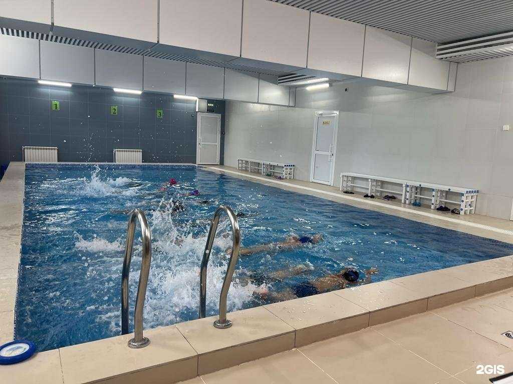 Отзывы на компанию Дельфин в г. Зеленодольск c фото