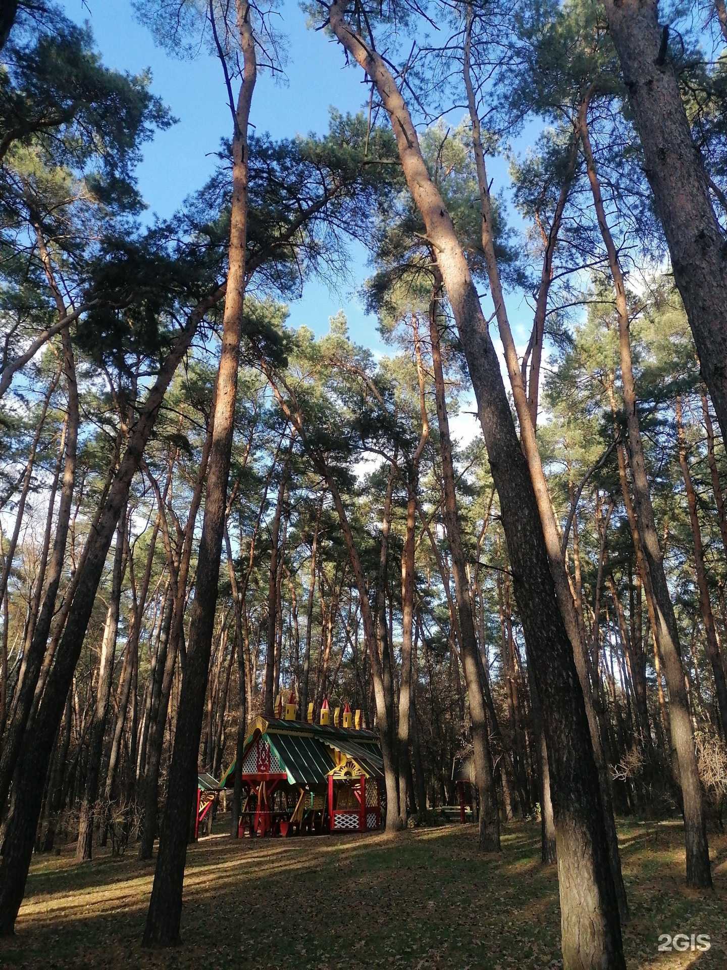 Отзывы на компанию Лесопарковая зона ЖБК-1 в г. Белгород c фото