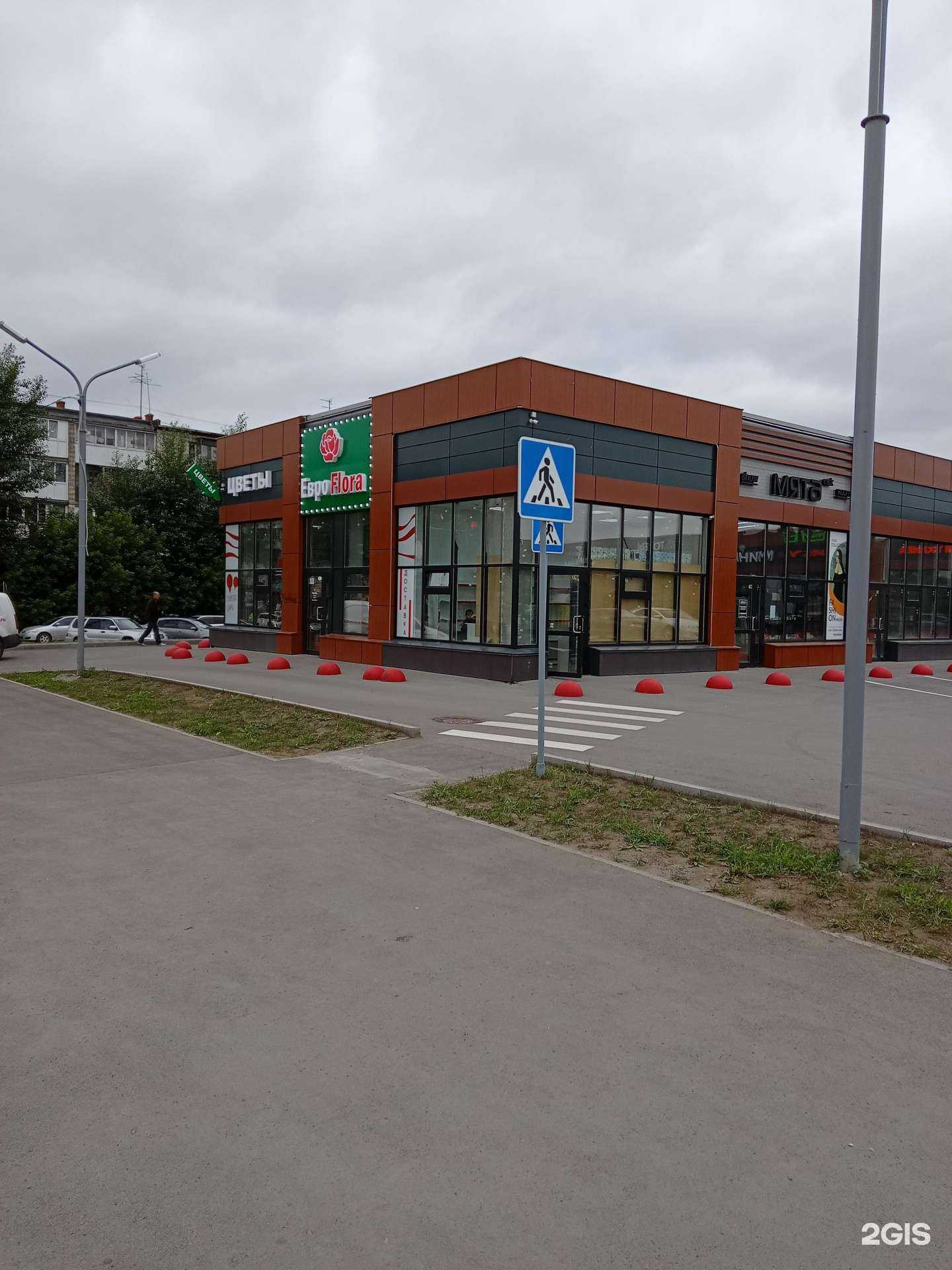 Отзывы на компанию Еврофлора в г. Новосибирск c фото