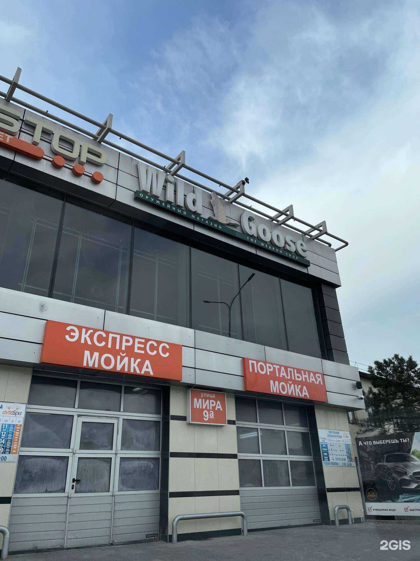 Отзывы на компанию Дикий гусь в Новороссийске c фото