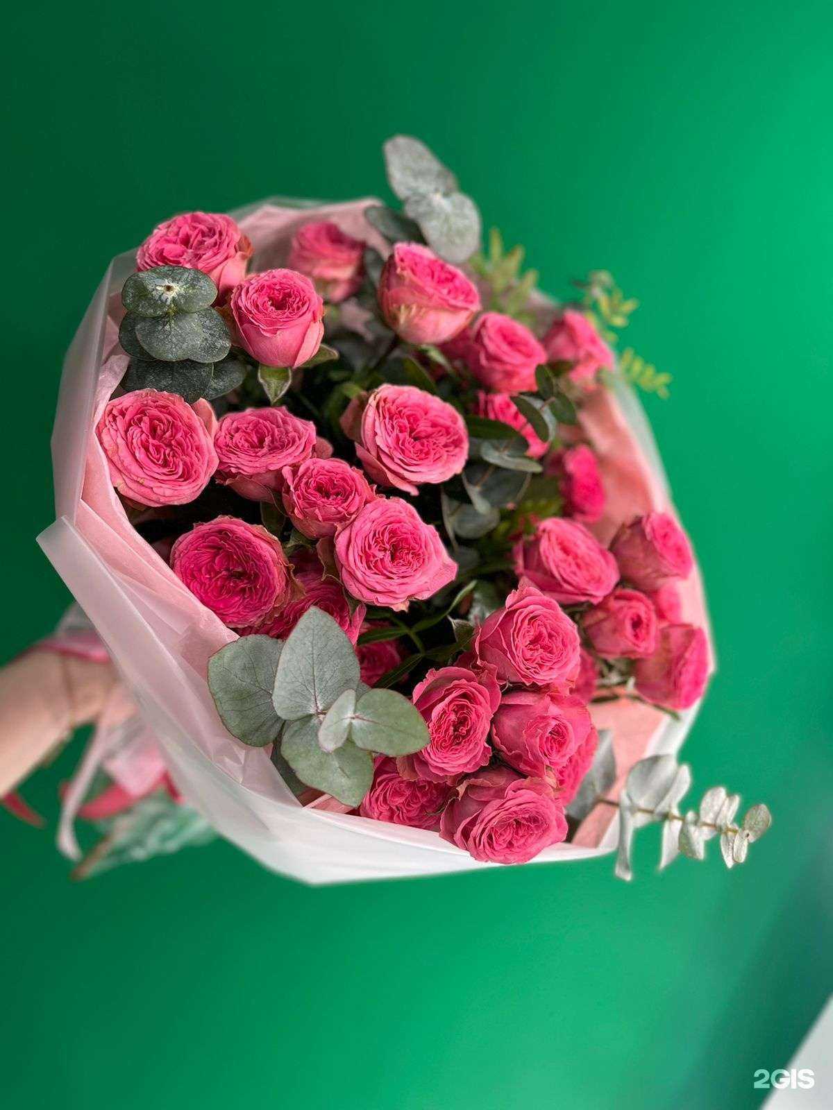 Отзывы на компанию Sunrise в Орехово-Зуеве c фото