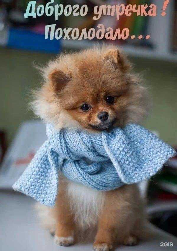 Отзывы на компанию Марафет в Зеленодольске c фото