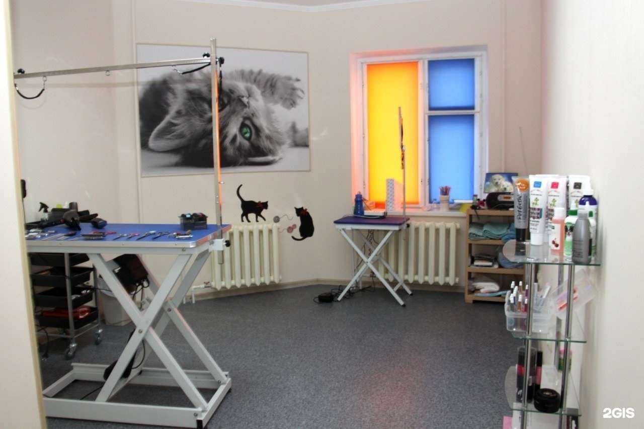 Отзывы на компанию Dog-имидж в Нижневартовске c фото