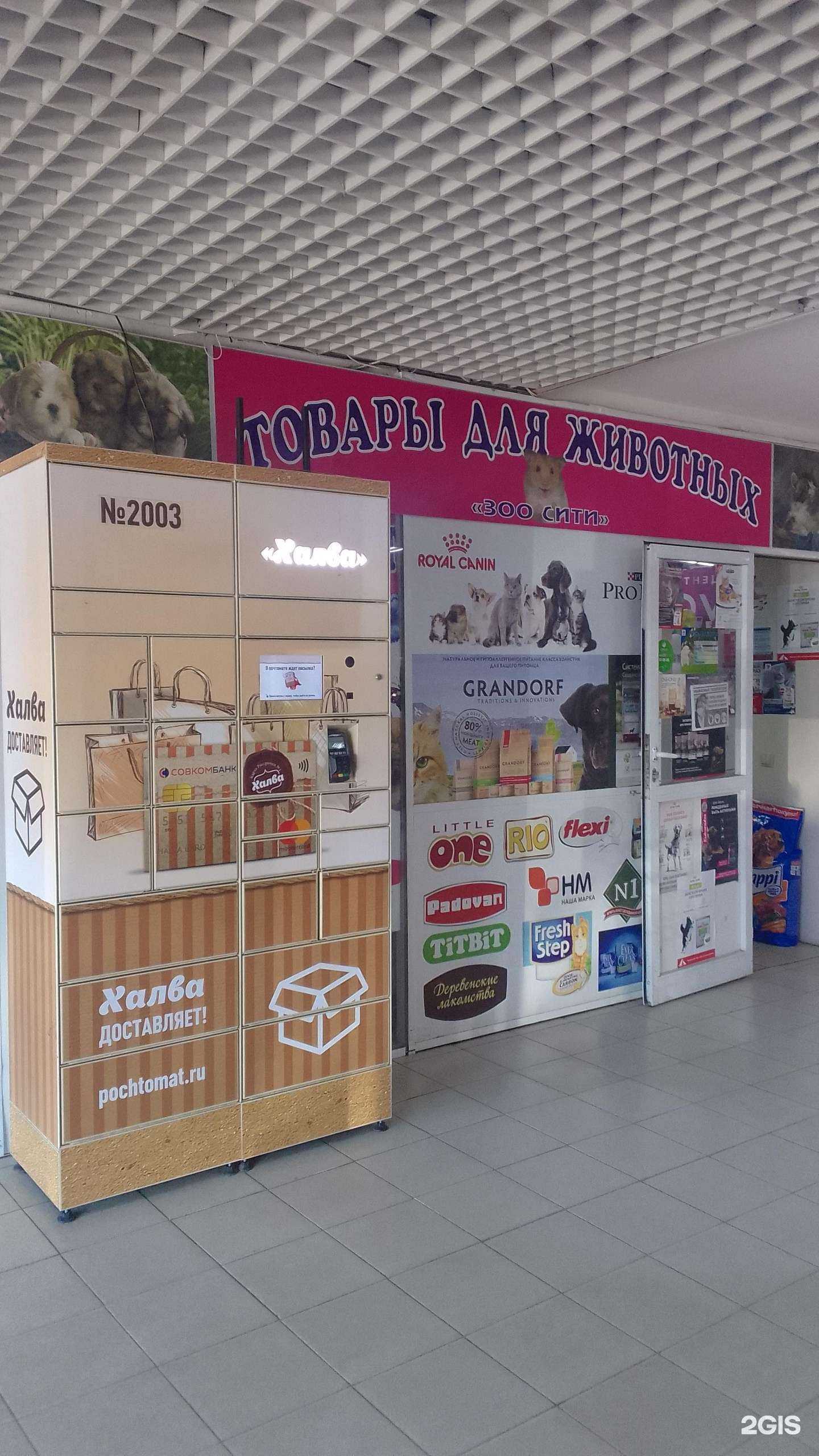 Отзывы на компанию Зоо сити в Брянске c фото