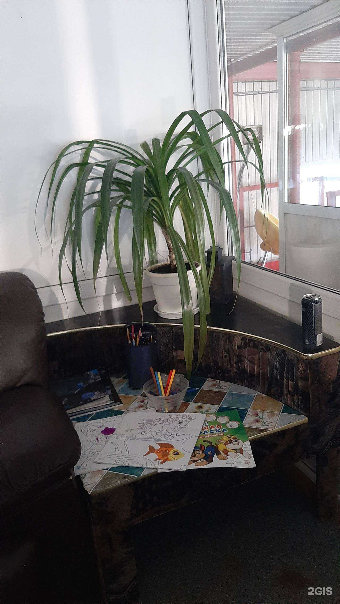 Отзывы на компанию Амин в Нижневартовске c фото