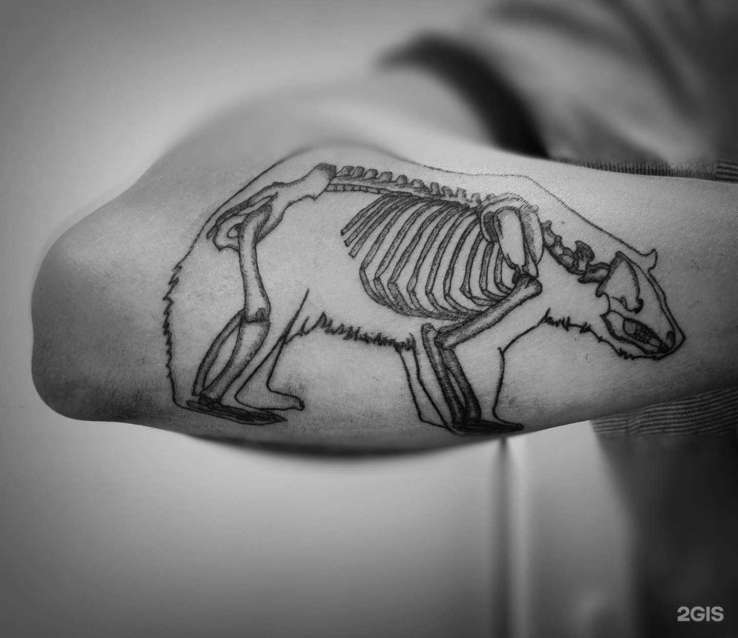 Отзывы на компанию Ip.tattoo в Краснодаре c фото