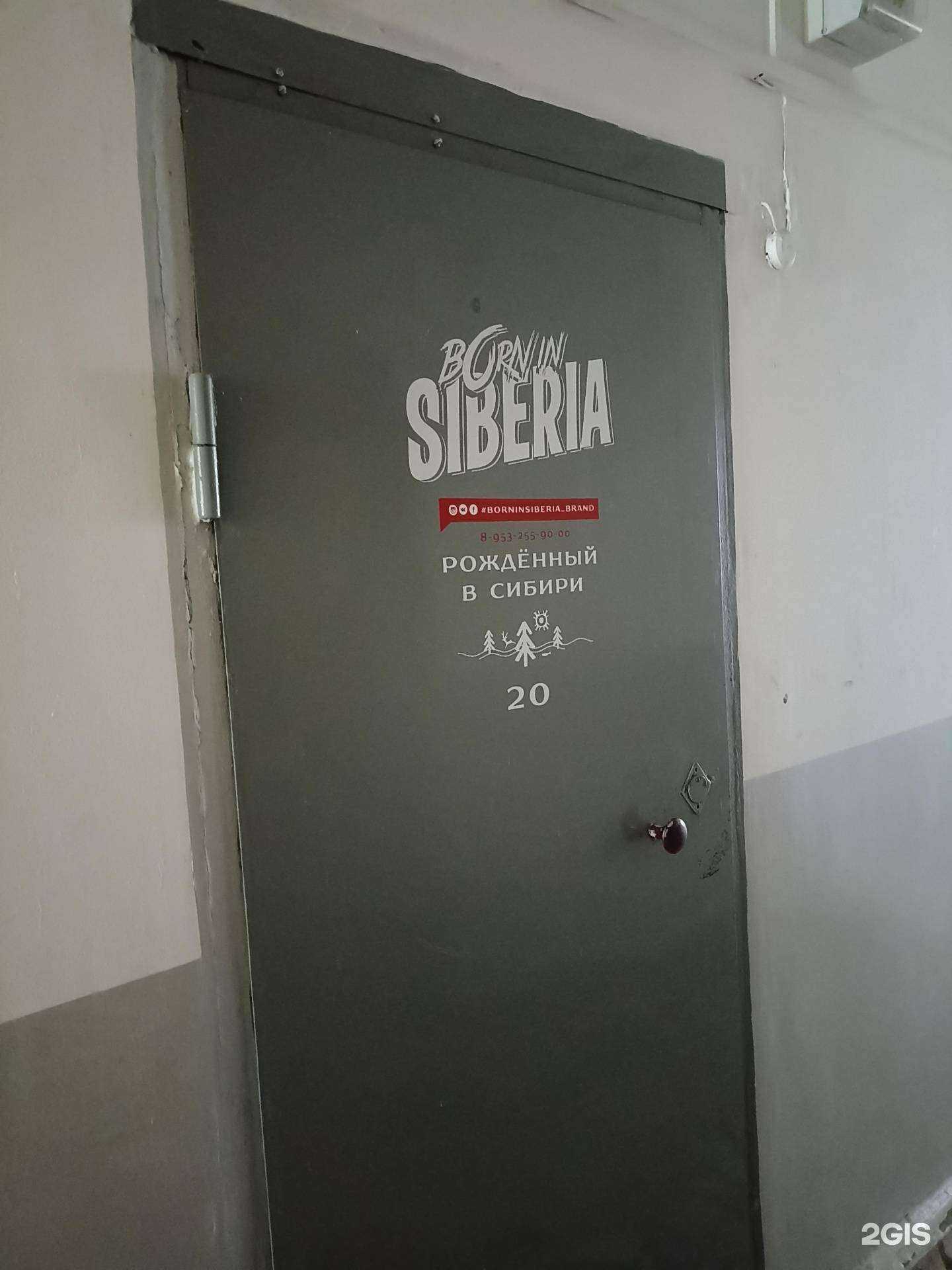 Отзывы на компанию Born in Siberia в г. Абакан c фото