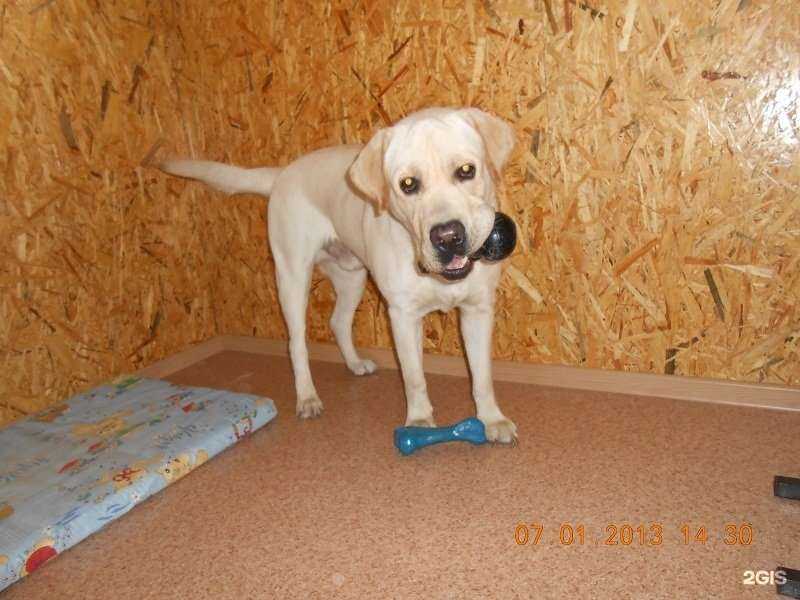 Отзывы на компанию Своя Берлога в г. Новокузнецк c фото