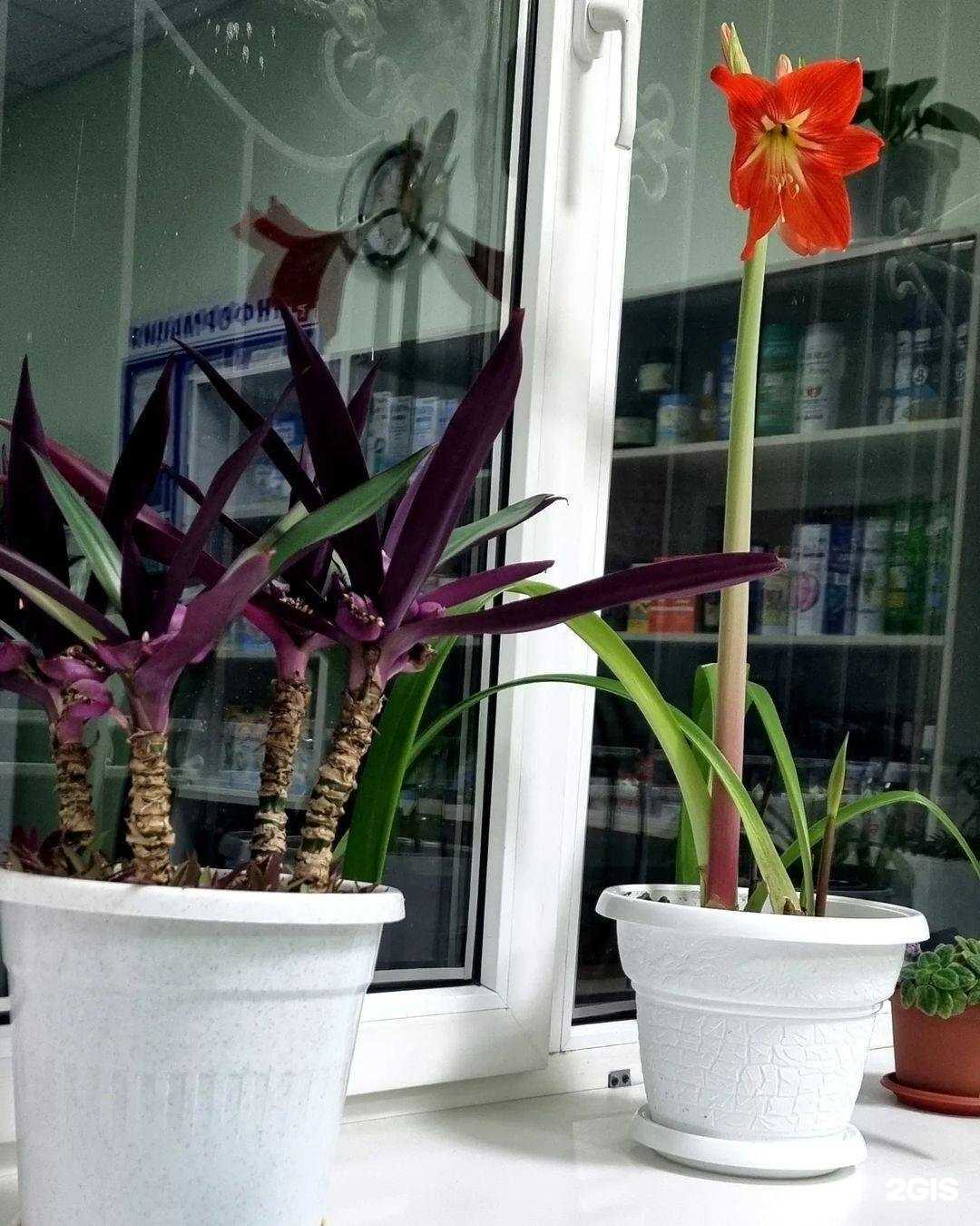 Отзывы на компанию №23 в Махачкале c фото