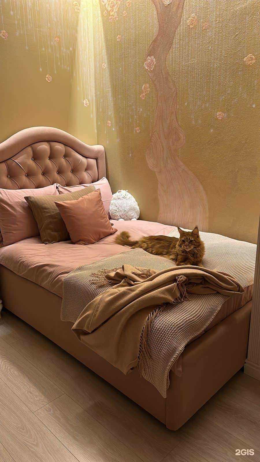 Отзывы на компанию Mollis в Ижевске c фото