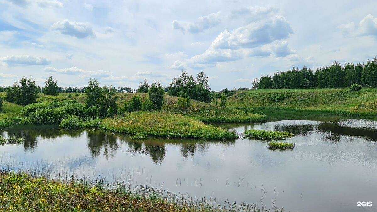 Отзывы на компанию Алёшкина Роща в Рязани c фото