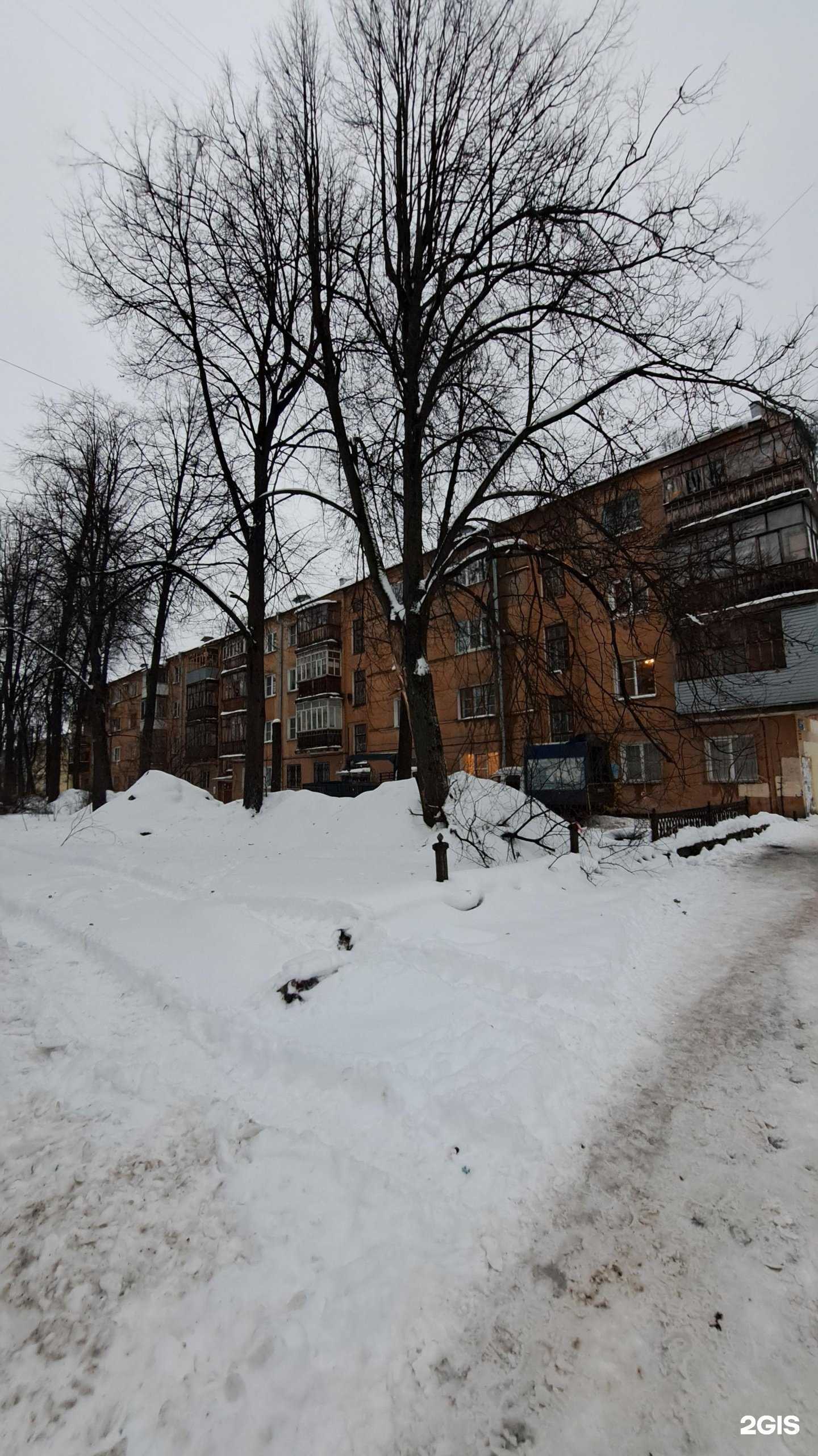 Отзывы на компанию ЯрГеоЦентр в Ярославле c фото - фотография 2 из 2