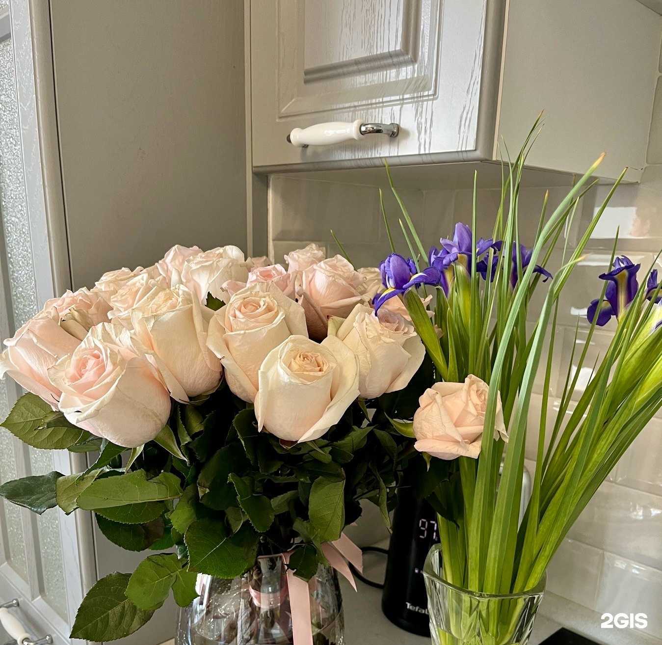 Отзывы на компанию Sibiris в Красноярске c фото