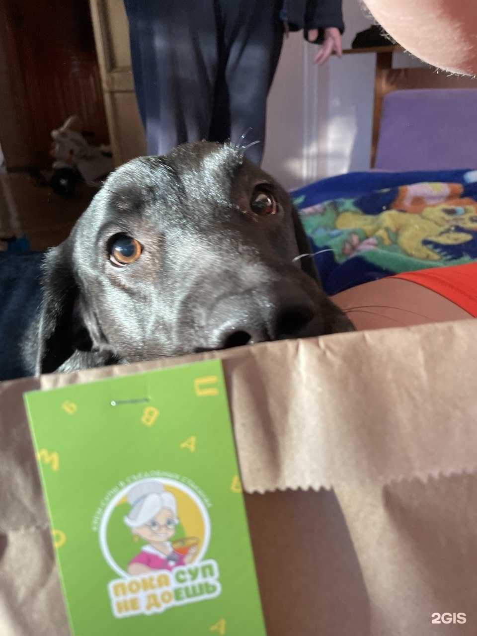 Отзывы на компанию Пока суп не доешь… в г. Чита c фото