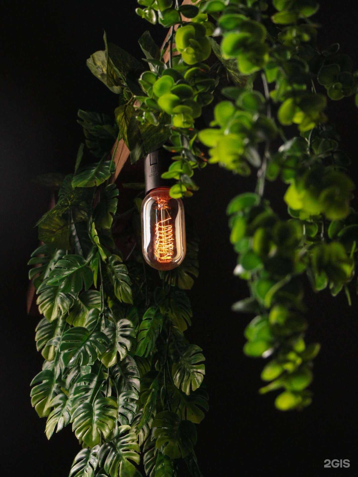 Отзывы на компанию CO2 в г. Калуга c фото