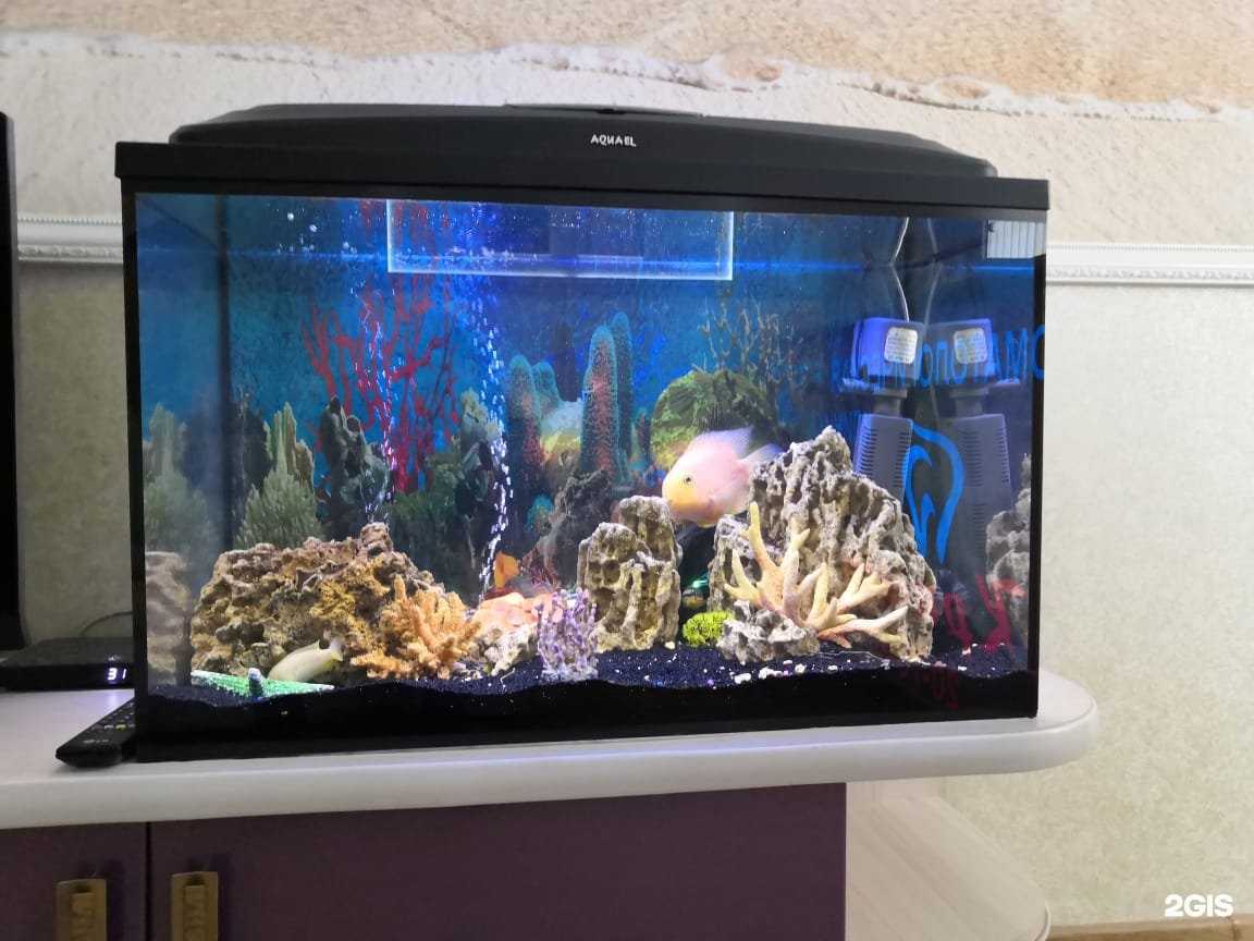 Отзывы на компанию Кристи в Томске c фото