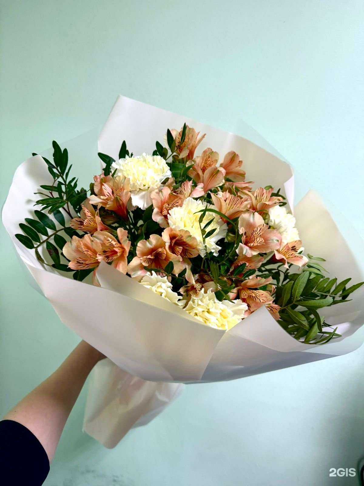 Отзывы на компанию Магнолия в Ставрополе c фото