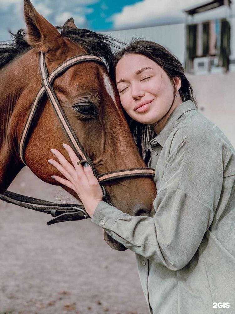 Отзывы на компанию Пегас в г. Курган c фото